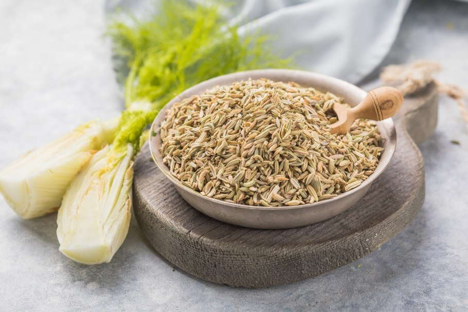 Фенхель растение