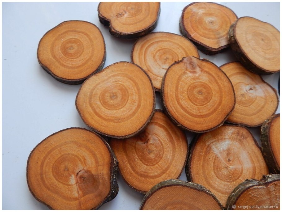 Ольха дерево срез ствола