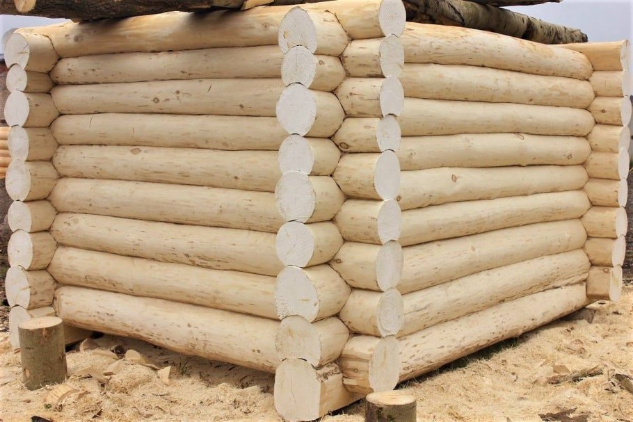 Дубовое бревно