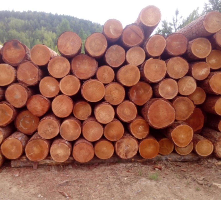 Пиломатериалы пень