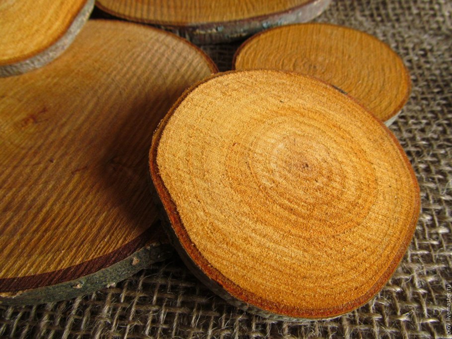 Ольха дерево спил