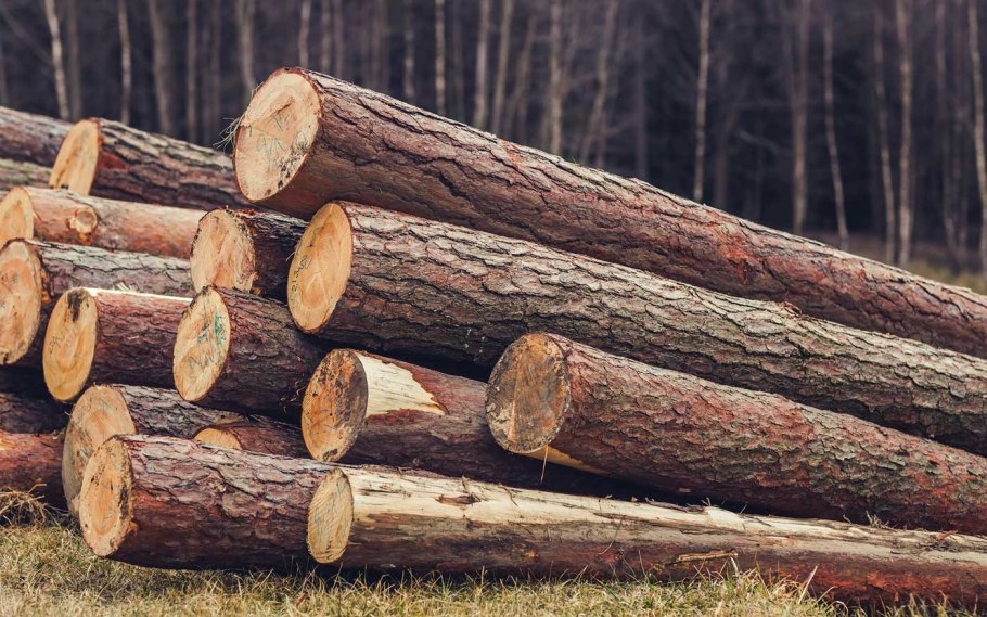 Дом из бревна с черными окнами