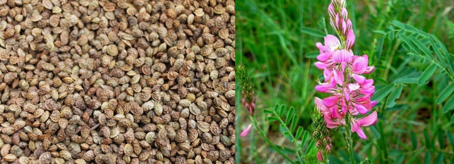 Сидерат смесь медоносов 1кг