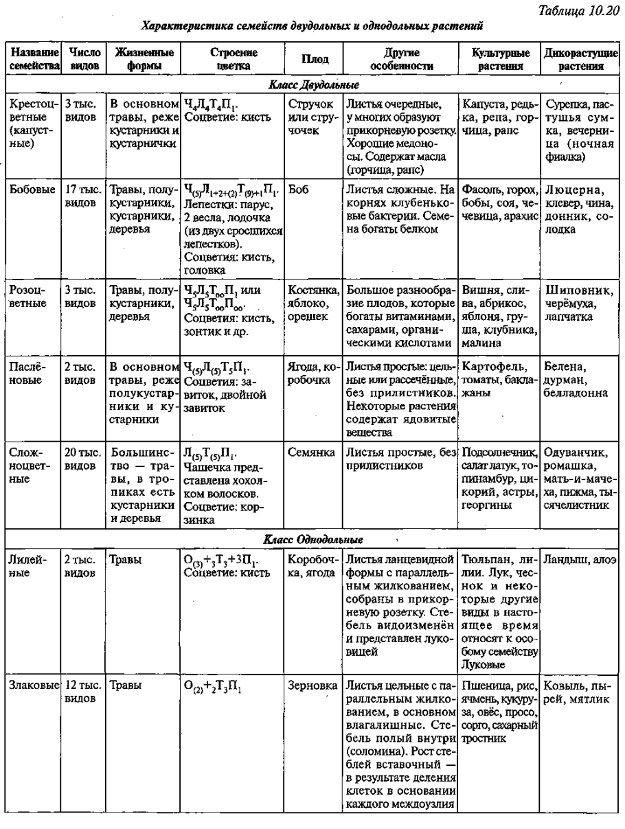 Семейства двудольных растений таблица