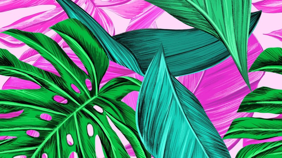 Тропические лист Monstera