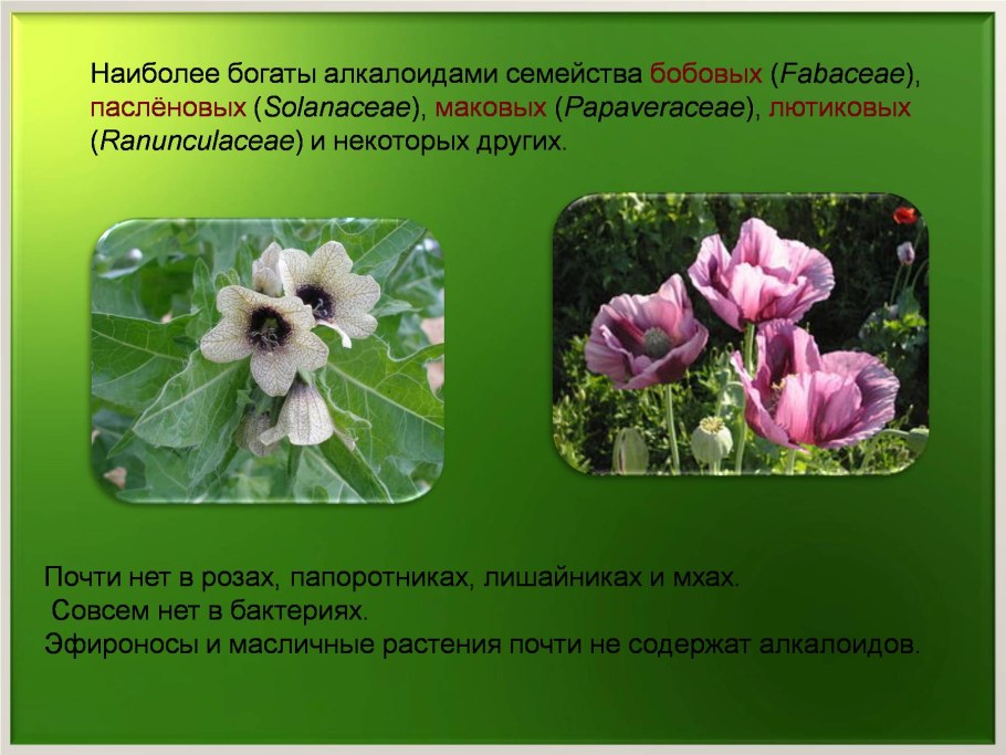 Ботаника программа Школьная