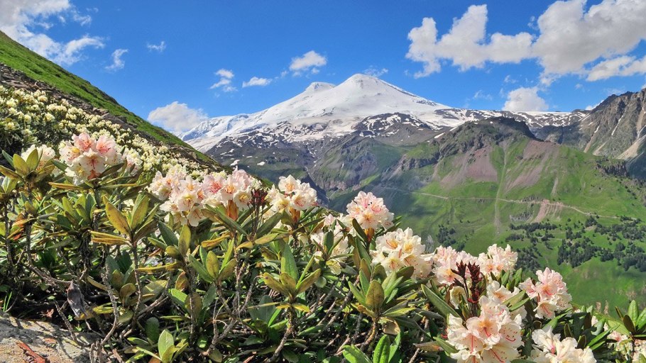 Эльбрус национальный парк Приэльбрусье