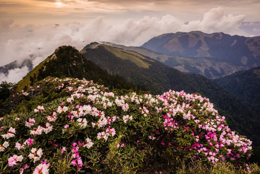 Кабардино-Балкарский высокогорный заповедник