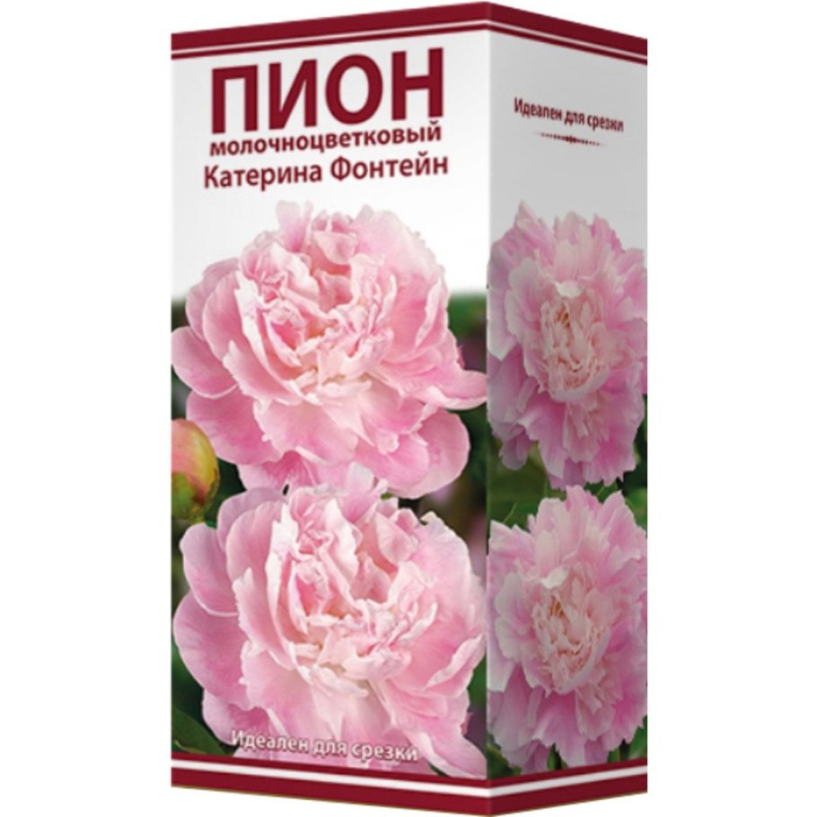 Арон Оноре пионы