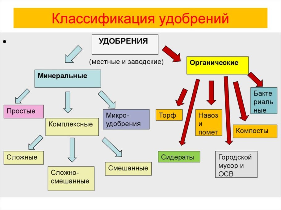 Способы размножения организмов таблица 10 класс