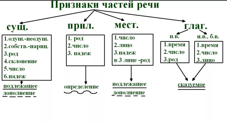 Схема живой и неживой природы