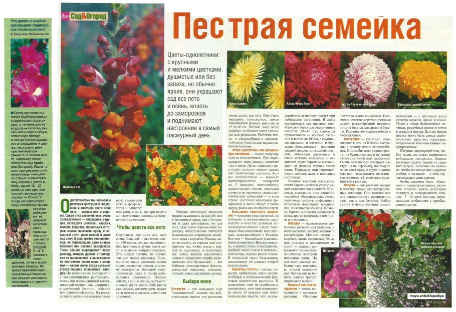 Вика, чина, донник, Клевер, люцерна