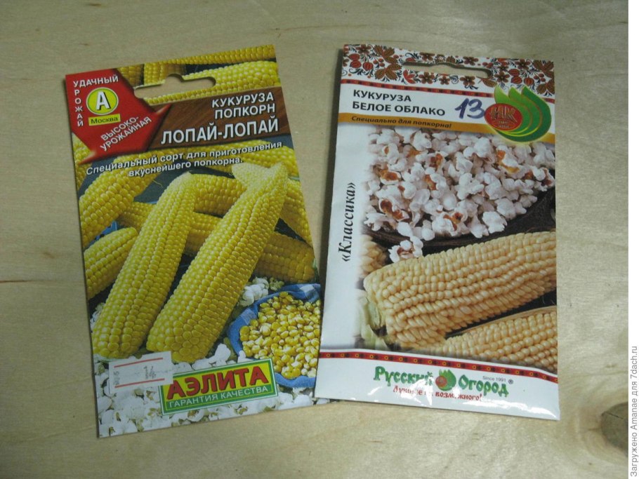 Уборка кукурузы