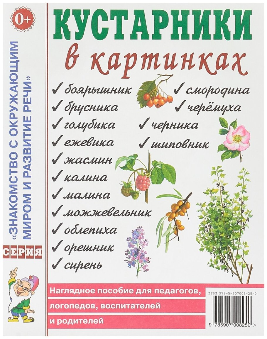 Кустарники в картинках наглядное пособие для педагогов
