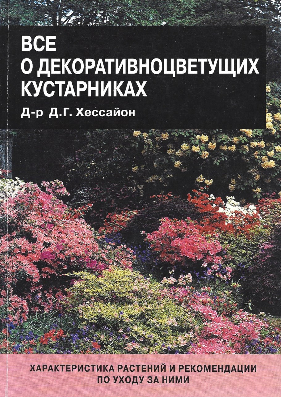 Все о декоративных деревьях и кустарниках Хессайон