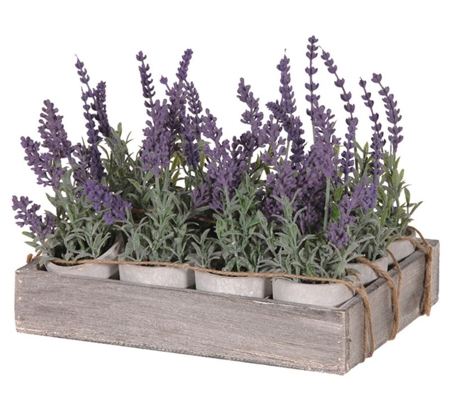 Лаванда Mini Blue