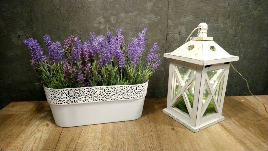 Лаванда в контейнере