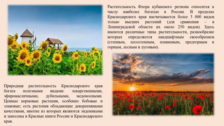 Таджикский национальный парк горы Памира