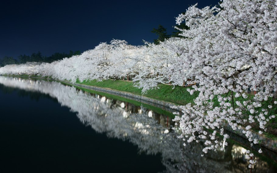 Цветение садов весной