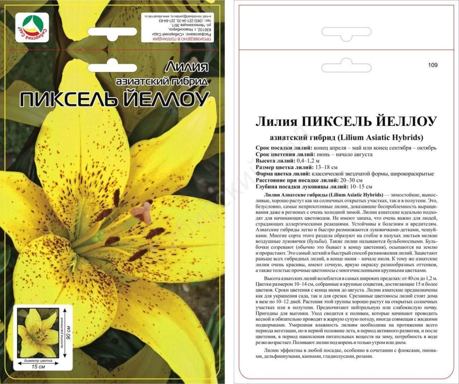 Лилия ла-гибрид Йеллоу Даймонд