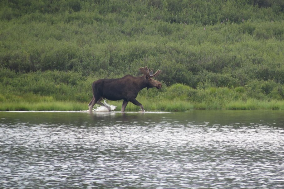 Чебоксары природный заповедник Присурский