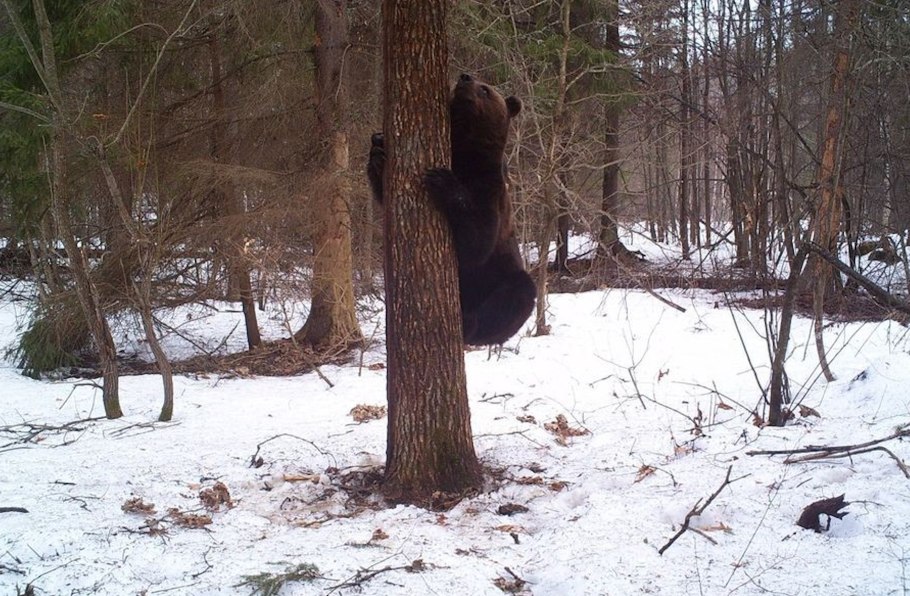 Заповедник в Чебоксарах