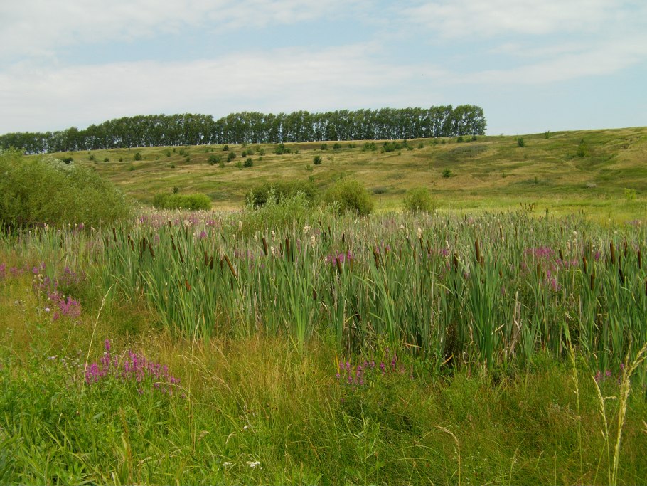 Присурский заповедник Байбаки