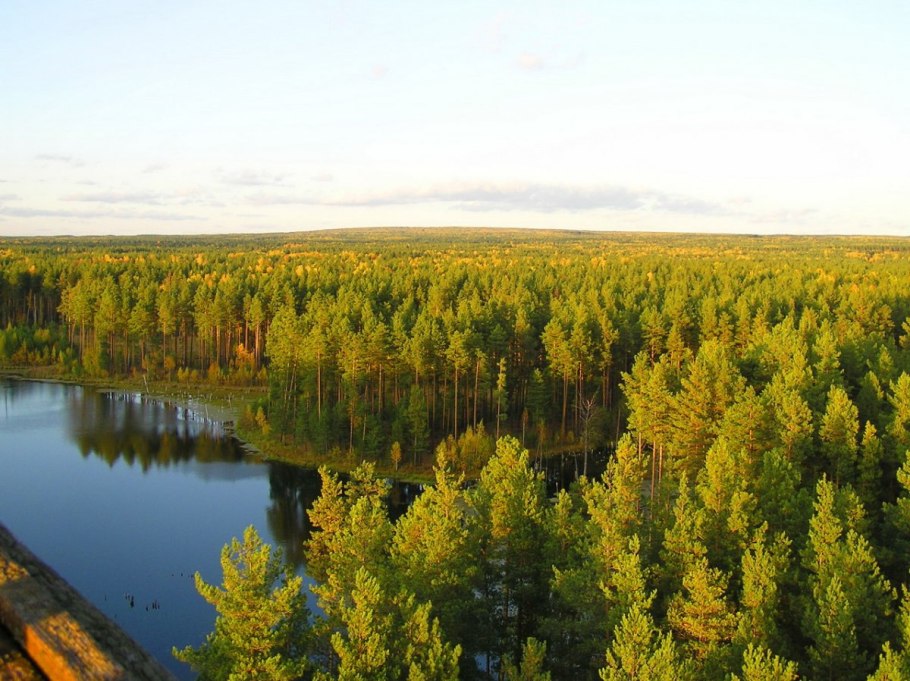 Природный заповедник «Присурский»
