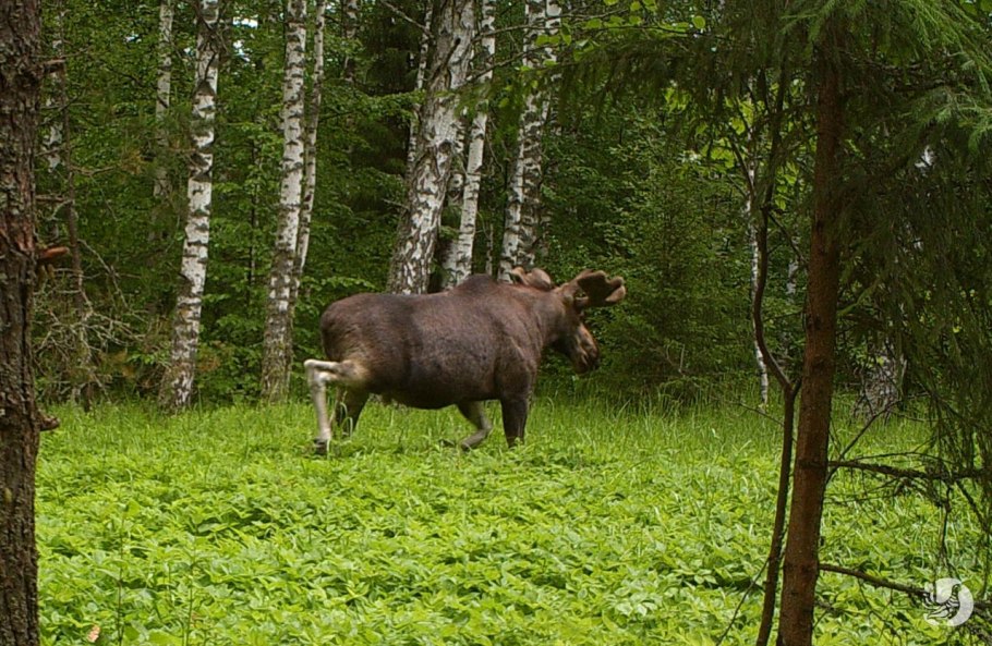 Национальный парк Чаваш вармане