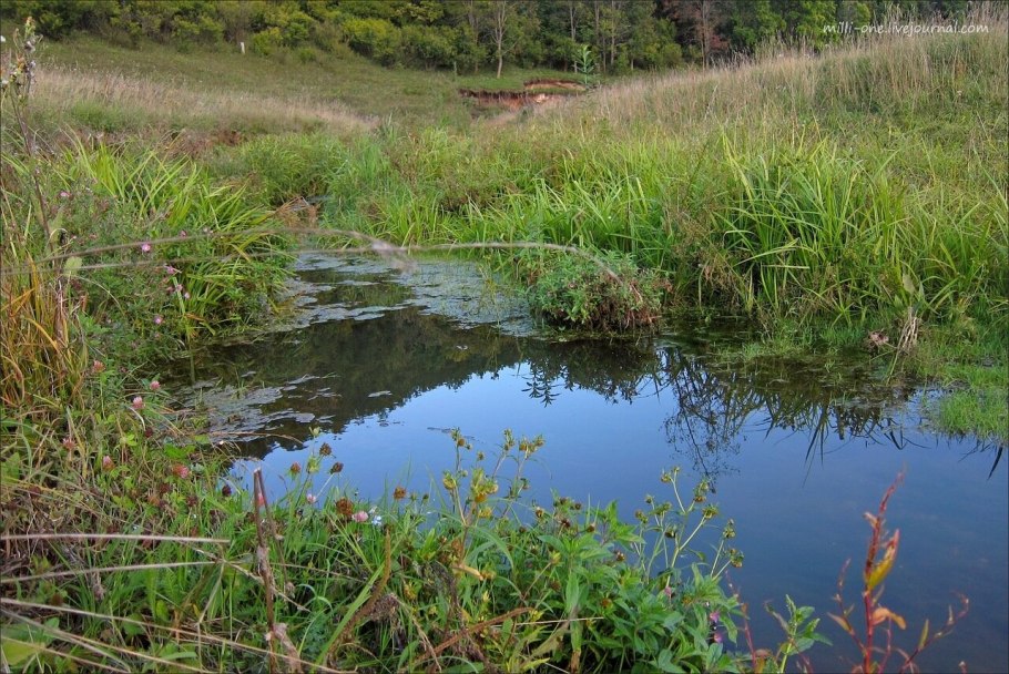Заповедник Присурский Чувашской Республики