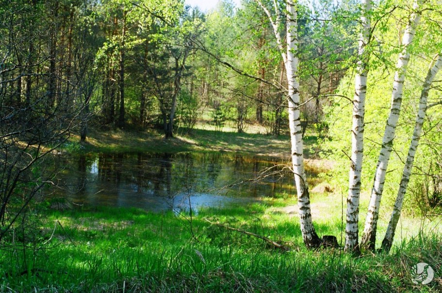 Керженец Нижний Новгород река