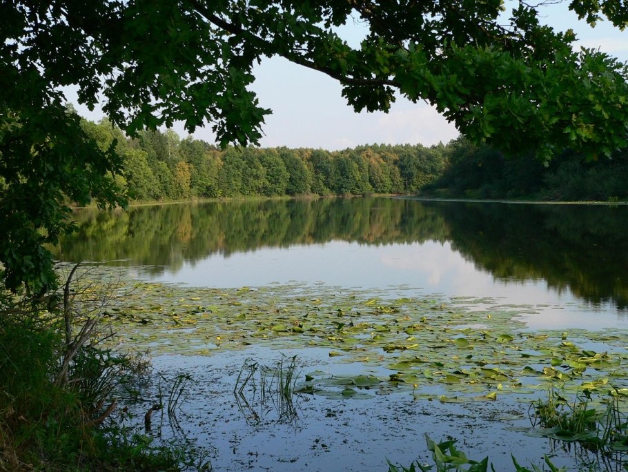 Присурский заповедник животные