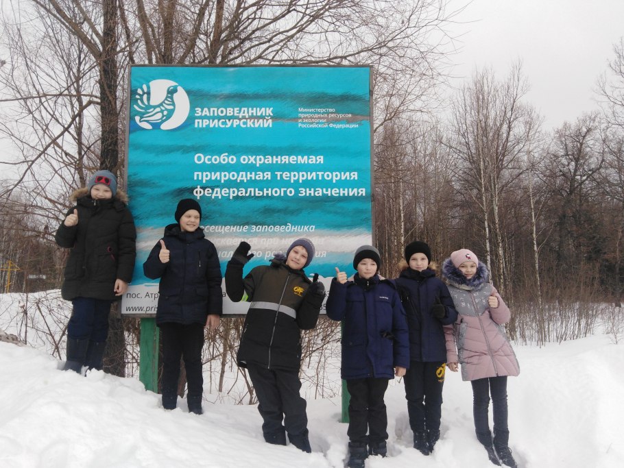 Заповедник "Присурский" хвойные леса