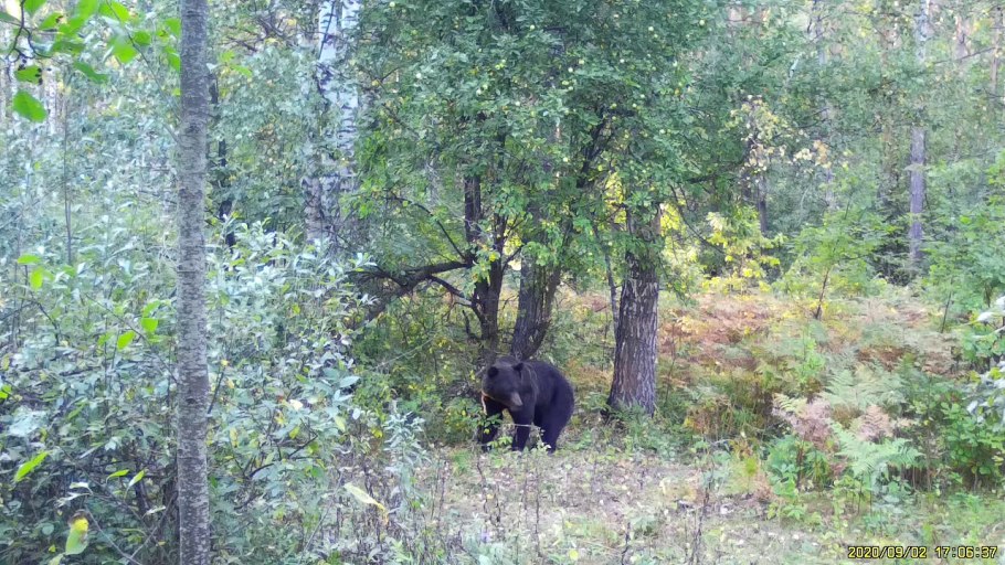 Заповедные уголки России
