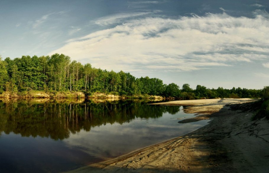 Соловецкие острова фауна