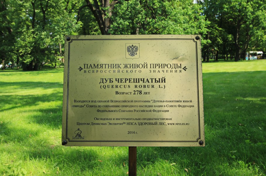 Москва парк Коломенское дубовая роща