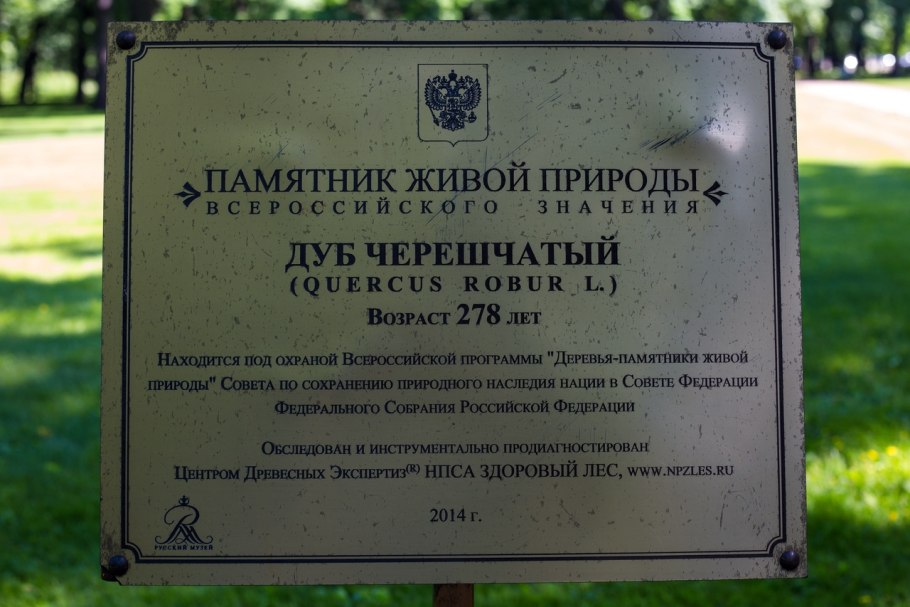 Нижний парк Липовая аллея