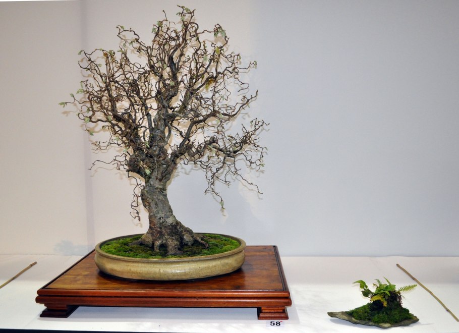 Исполинские дзельква