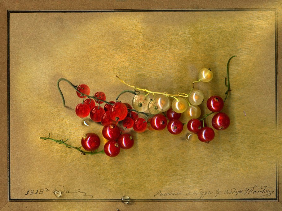 Смородина Уссурийская