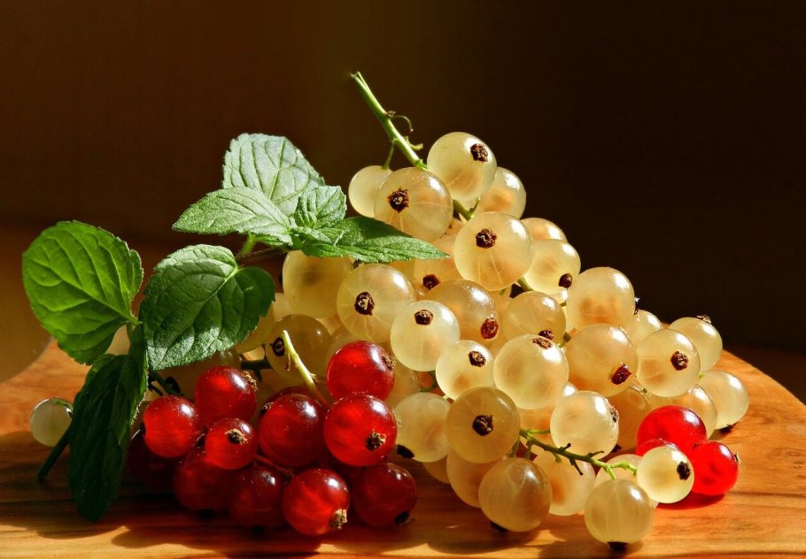 День смородины