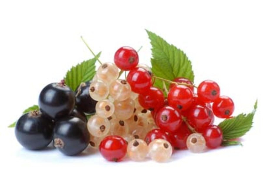 Красная смородина и Поречка