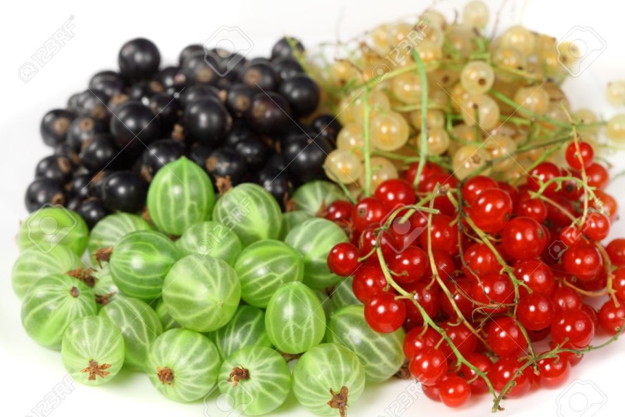 Гроздь красной смородины