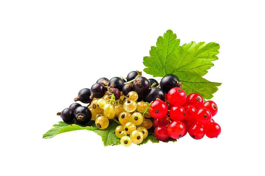 Микс с черной смородиной