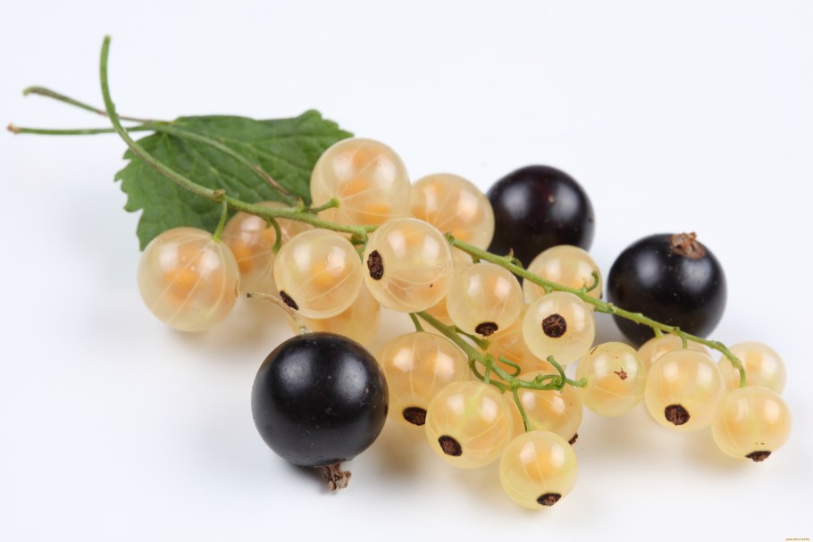 Клюква и красная смородина