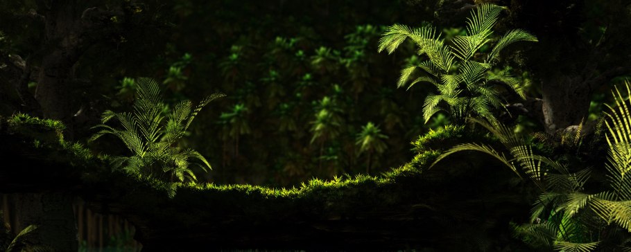 Тропический лес ночью