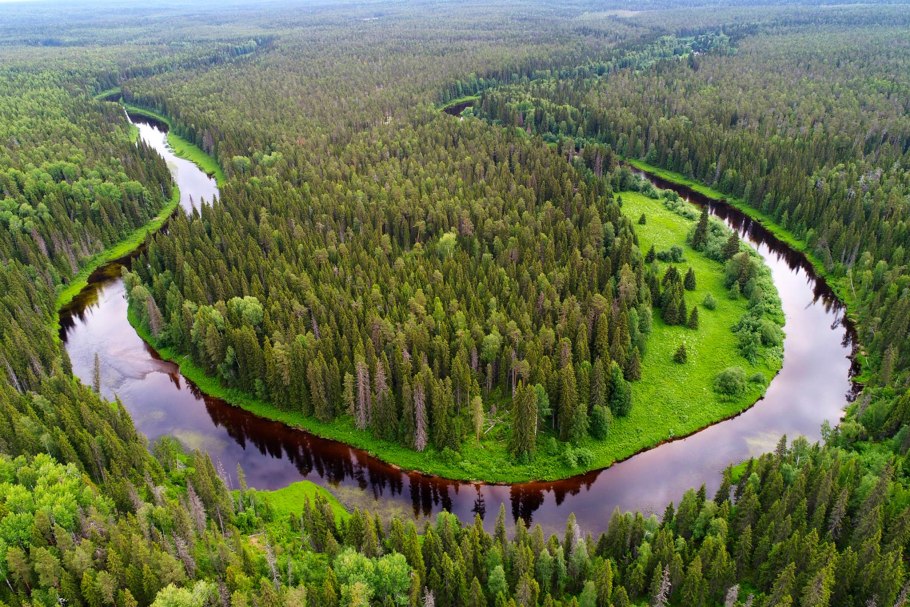 Животные природной зоны широколиственные леса
