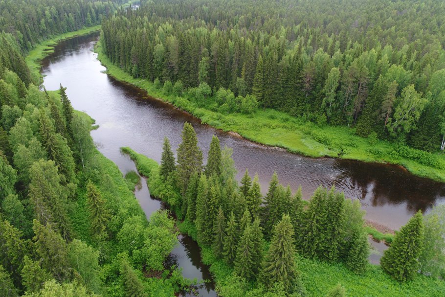 Уссурийский заповедник Амурский тигр