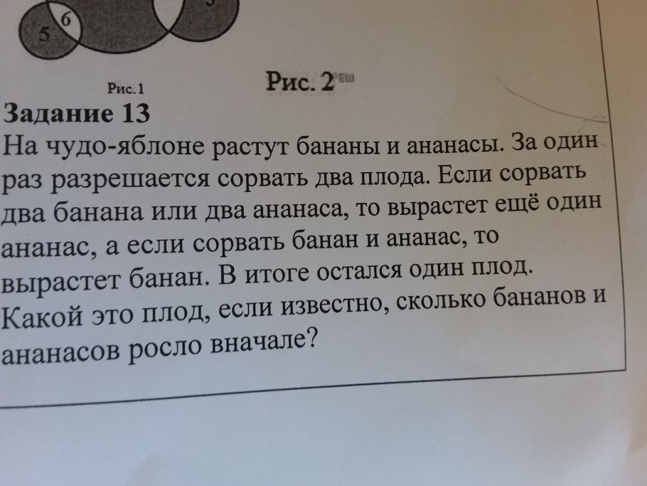 Яблоня Пржевальского