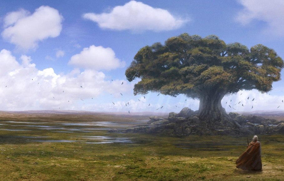 Дуб черешчатый Quercus Robur 'Fastigiata'