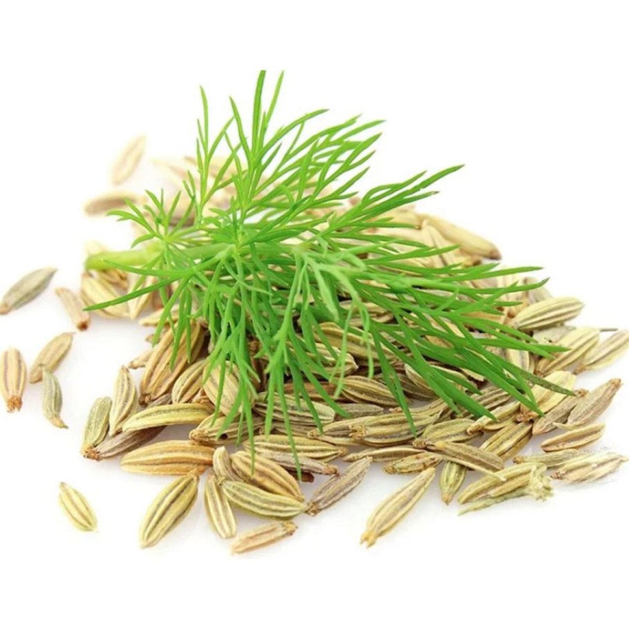 Small Fennel